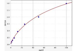 Fibroblast Growth Factor 21 (FGF21) ELISA Kit
