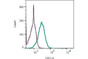 anti-Neuropilin (NRP) and Tolloid (TLL)-Like 1 (NETO1) (AA 24-37), (Extracellular), (N-Term) antibody
