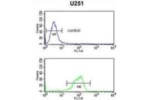Flow Cytometry (FACS) image for anti-Interleukin 5 Receptor, alpha (IL5RA) antibody (ABIN3002275) (IL5RA 抗体)