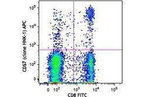 Flow Cytometry (FACS) image for anti-beta-1,3-Glucuronyltransferase 1 (Glucuronosyltransferase P) (B3GAT1) antibody (APC) (ABIN2658257) (CD57 抗体  (APC))