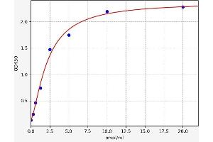 Typical standard curve (LSS ELISA 试剂盒)