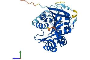 Protein Structure (PS) image for Lipid Droplet-Associated Hydrolase (LDAH) (AA 1-326) protein (His tag) (ABIN7558918)