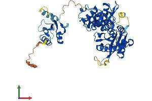 Protein Structure (PS) image for Polymerase (DNA Directed), mu (POLM) (AA 1-494) protein (His tag) (ABIN7547159)