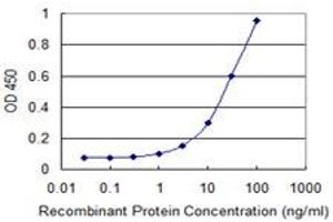 Detection limit for recombinant GST tagged NIT1 is 1 ng/ml as a capture antibody. (Nitrilase 1 抗体  (AA 228-327))