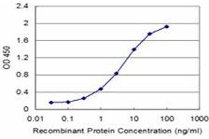 Detection limit for recombinant GST tagged CIRBP is approximately 0. (CIRBP 抗体  (AA 1-90))