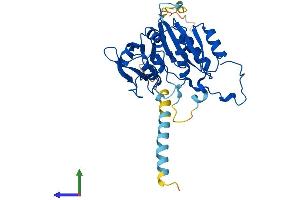 Protein Structure (PS) image for beta-1,3-Glucuronyltransferase 1 (Glucuronosyltransferase P) (B3GAT1) (AA 1-334) protein (His tag) (ABIN7552502)