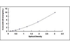 Typical standard curve (FCN1 ELISA 试剂盒)
