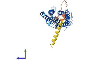 AlphaFold protein structure predicition of Human Recombinant CYBRD1 Protein, UniprotID Q53TN4