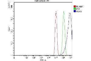 Flow Cytometry analysis of PC-3 cells using anti-UBA5 antibody (ABIN7601503). (UBA5 抗体  (AA 37-389))