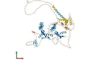 Protein Structure (PS) image for Zinc Finger Protein 336 (ZNF336) (AA 1-706) protein (His tag) (ABIN7557399)