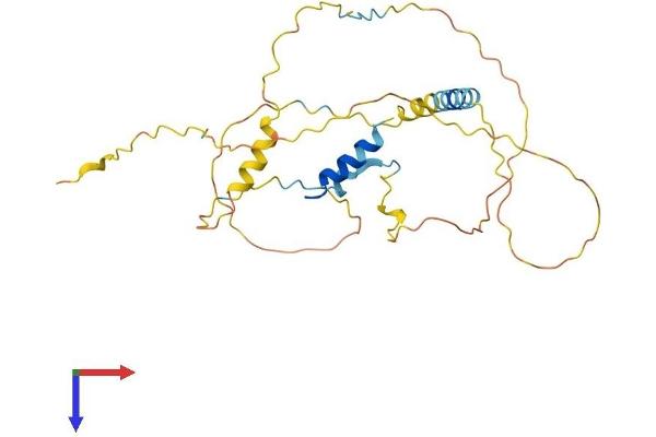 ERMN Protein (AA 1-281) (His tag)