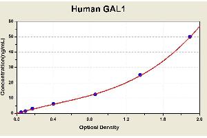 Diagramm of the ELISA kit to detect Human GAL1with the optical density on the x-axis and the concentration on the y-axis.