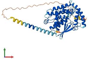 Protein Structure (PS) image for Prostaglandin E Synthase 2 (PTGES2) (AA 1-377) protein (His tag) (ABIN7550747)
