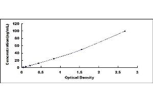 Typical standard curve (CKMT1A ELISA 试剂盒)