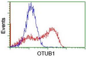 Image no. 1 for anti-OTU Domain, Ubiquitin Aldehyde Binding 1 (OTUB1) antibody (ABIN1499931) (OTUB1 抗体)