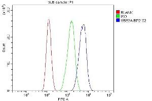 Flow Cytometry analysis of CACO-2 cells using anti-UBE3A antibody (ABIN7599562).