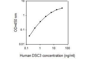 Desmocollin 3 ELISA 试剂盒