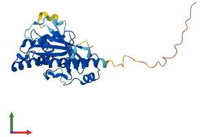 Protein Structure (PS) image for RAB34, Member RAS Oncogene Family (RAB34) (AA 1-259) protein (His tag) (ABIN7551143)
