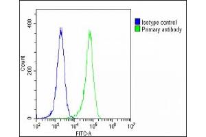 Overlay histogram showing Hela cells stained with C(green line). (Gc (AA 337-365), (Center) 抗体)