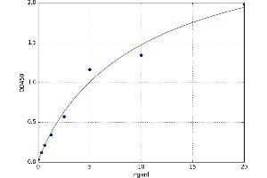 Calcium Independent Phospholipase A2 (iPLA2) ELISA Kit