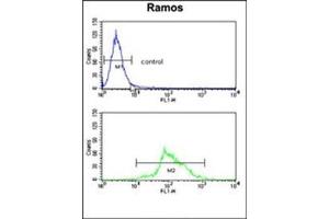 Flow Cytometry (FACS) image for anti-Hydroxyacyl-Coenzyme A Dehydrogenase/3-Ketoacyl-Coenzyme A Thiolase/enoyl-Coenzyme A Hydratase (Trifunctional Protein), alpha Subunit (HADHA) (AA 734-763), (C-Term) antibody (ABIN453085)