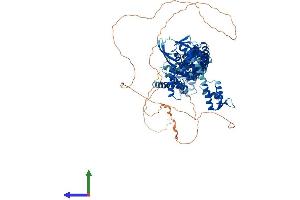Protein Structure (PS) image for Cullin 4B (CUL4B) (AA 1-970) protein (His tag) (ABIN7561862)