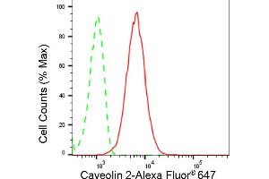 Flow cytometric analysis of Caveolin 2 expression in HepG2 cells using Caveolin 2 antibody (ABIN7797946), 1:2,000). (Recombinant Caveolin 2 抗体)