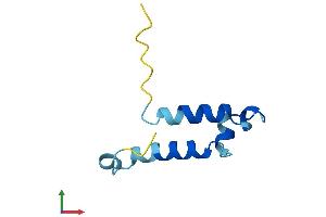 Protein Structure (PS) image for Cytochrome C Oxidase Assembly Factor 5 (COA5) (AA 1-74) protein (Fc Tag) (ABIN7560393)