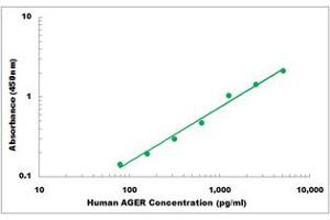 Representative Standard Curve (RAGE ELISA 试剂盒)