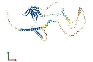Protein Structure (PS) image for Pleckstrin Homology Domain Containing, Family O Member 1 (PLEKHO1) (AA 1-409) protein (His tag) (ABIN7554972)