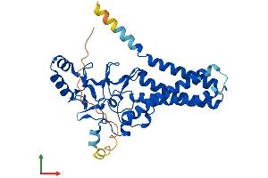Protein Structure (PS) image for Zinc Finger, DHHC-Type Containing 15 (ZDHHC15) (AA 1-337) protein (His tag) (ABIN7545621)