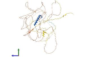 Protein Structure (PS) image for Nuclear Fragile X Mental Retardation Protein Interacting Protein 2 (NUFIP2) (AA 1-695) protein (His tag) (ABIN7549947)