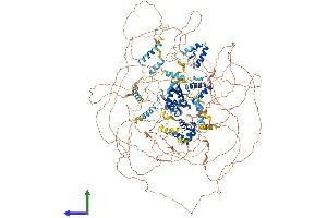 AlphaFold protein structure predicition of Mouse Recombinant Slx4 Protein, UniprotID Q6P1D7