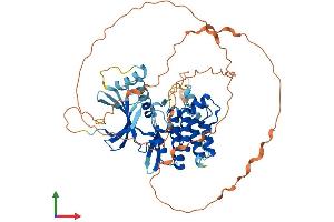 Protein Structure (PS) image for Serine/threonine Kinase 35 (STK35) (AA 1-534) protein (His tag) (ABIN7544037)