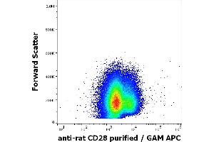 Flow cytometry surface staining pattern of rat splenocytes suspension stained using anti-rat CD28 (JJ319) purified antibody (concentration in sample 4 μg/mL) GAM APC.