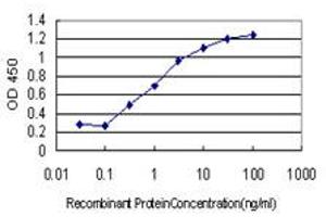 Detection limit for recombinant GST tagged FOXA1 is approximately 0. (FOXA1 抗体  (AA 367-472))