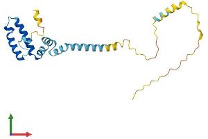 AlphaFold protein structure predicition of Human Recombinant DNAJC5 Protein, UniprotID Q9H3Z4