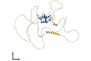 Protein Structure (PS) image for Forkhead Box A1 (FOXA1) (AA 1-468) protein (His tag) (ABIN7563179)