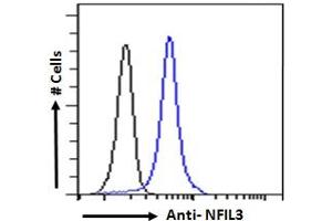 ABIN184644 Flow cytometric analysis of paraformaldehyde fixed Human peripheral blood mononuclear cells (blue line), permeabilized with 0. (NFIL3 抗体  (C-Term))
