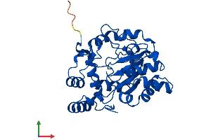 Protein Structure (PS) image for Sulfotransferase Family, Cytosolic, 1A, Phenol-Preferring, Member 4 (SULT1A4) (AA 1-295) protein (His tag) (ABIN7544030)