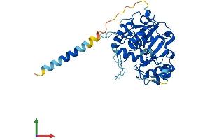 Protein Structure (PS) image for ST3 beta-Galactoside alpha-2,3-Sialyltransferase 4 (ST3GAL4) (AA 1-333) protein (His tag) (ABIN7560098)