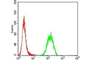 Flow cytometric analysis of Hela cells using P2RY14 mouse mAb (green) and negative control (red). (P2RY14 抗体)