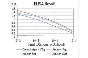 Black line: Control Antigen (100 ng), Purple line: Antigen(10 ng), Blue line: Antigen (50 ng), Red line: Antigen (100 ng), (KAT5 抗体  (AA 18-208))