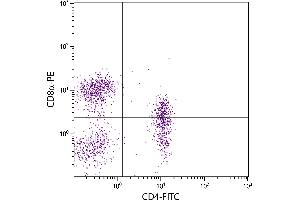 Porcine peripheral blood lymphocytes were stained with Mouse Anti-Porcine CD4-FITC. (CD4 抗体)