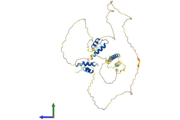 Thymopoietin Protein (TMPO) (AA 1-452) (His tag)