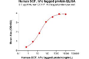 ELISA image for KIT Ligand (KITLG) (AA 26-214) protein (Fc Tag) (ABIN7092726)