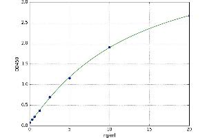 Microsomal Triglyceride Transfer Protein (MTTP) ELISA Kit