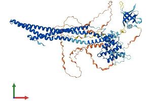 Protein Structure (PS) image for Oligophrenin 1 (OPHN1) (AA 1-802) protein (His tag) (ABIN7554816)