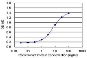 Detection limit for recombinant GST tagged SMAD7 is 0. (SMAD7 抗体  (AA 160-260))