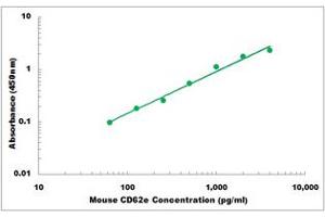 Representative Standard Curve (Selectin E/CD62e ELISA 试剂盒)